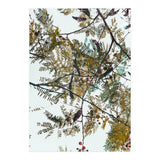 Patterns In Nature (Print Only) thumbnail