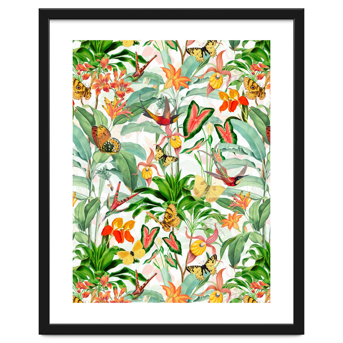 Birds And Butterflies In Tropical Jungle