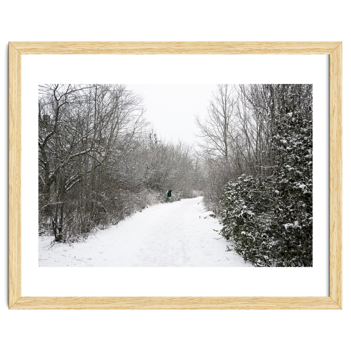 Walking through the snow park