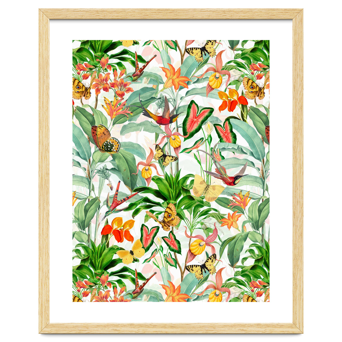 Birds And Butterflies In Tropical Jungle