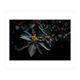 Orange, Green and Dark (Print Only) thumbnail