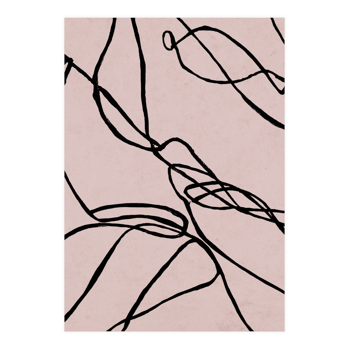 Lines on Rose (Print Only)