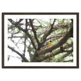 Mini sun thumbnail