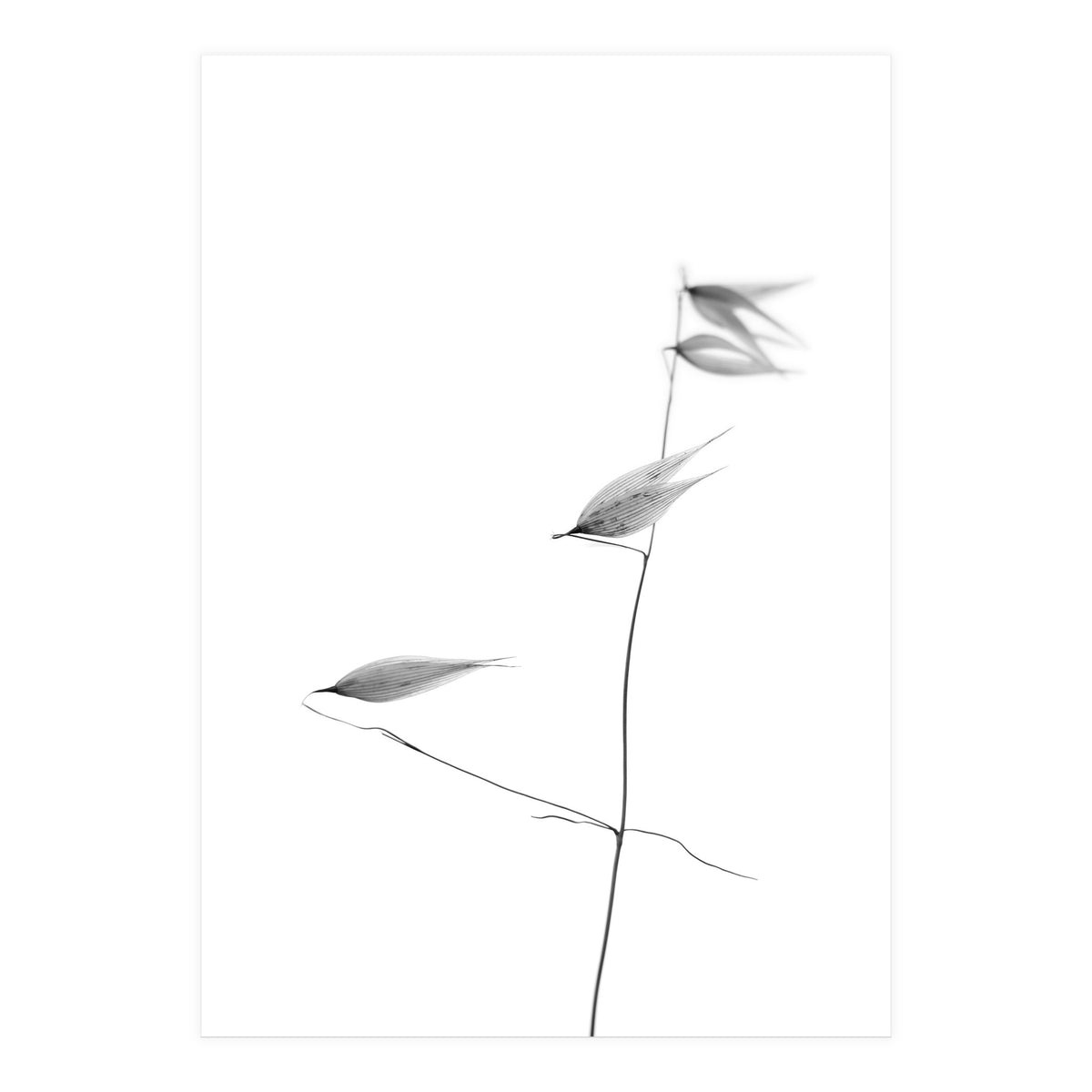 In light of current events IV (Print Only)