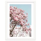 Spring Time thumbnail