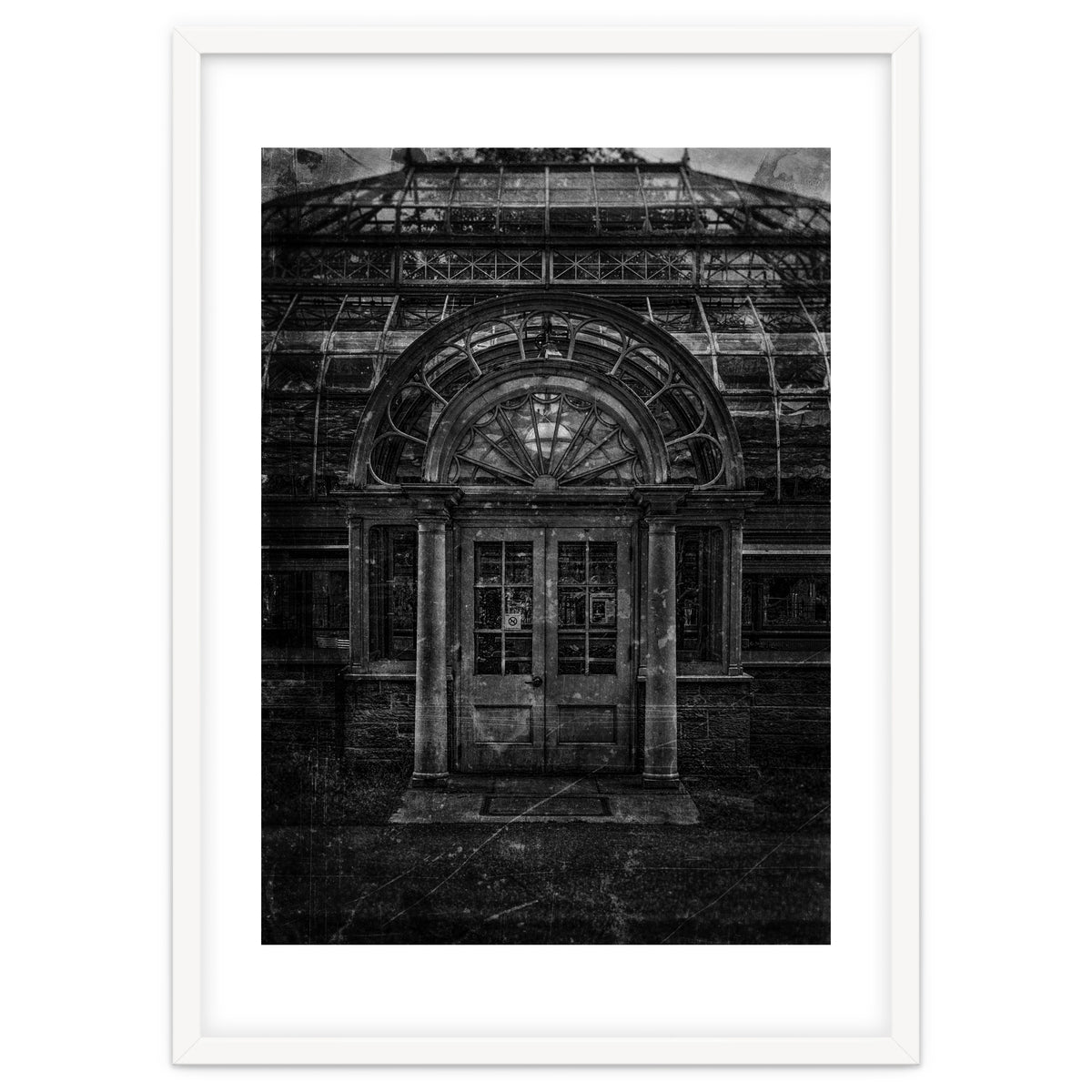 Allan Gardens Conservatory Palm House No 5 Old Film Version