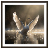 Graceful Swan Spreading Wings On Sparkling Water thumbnail