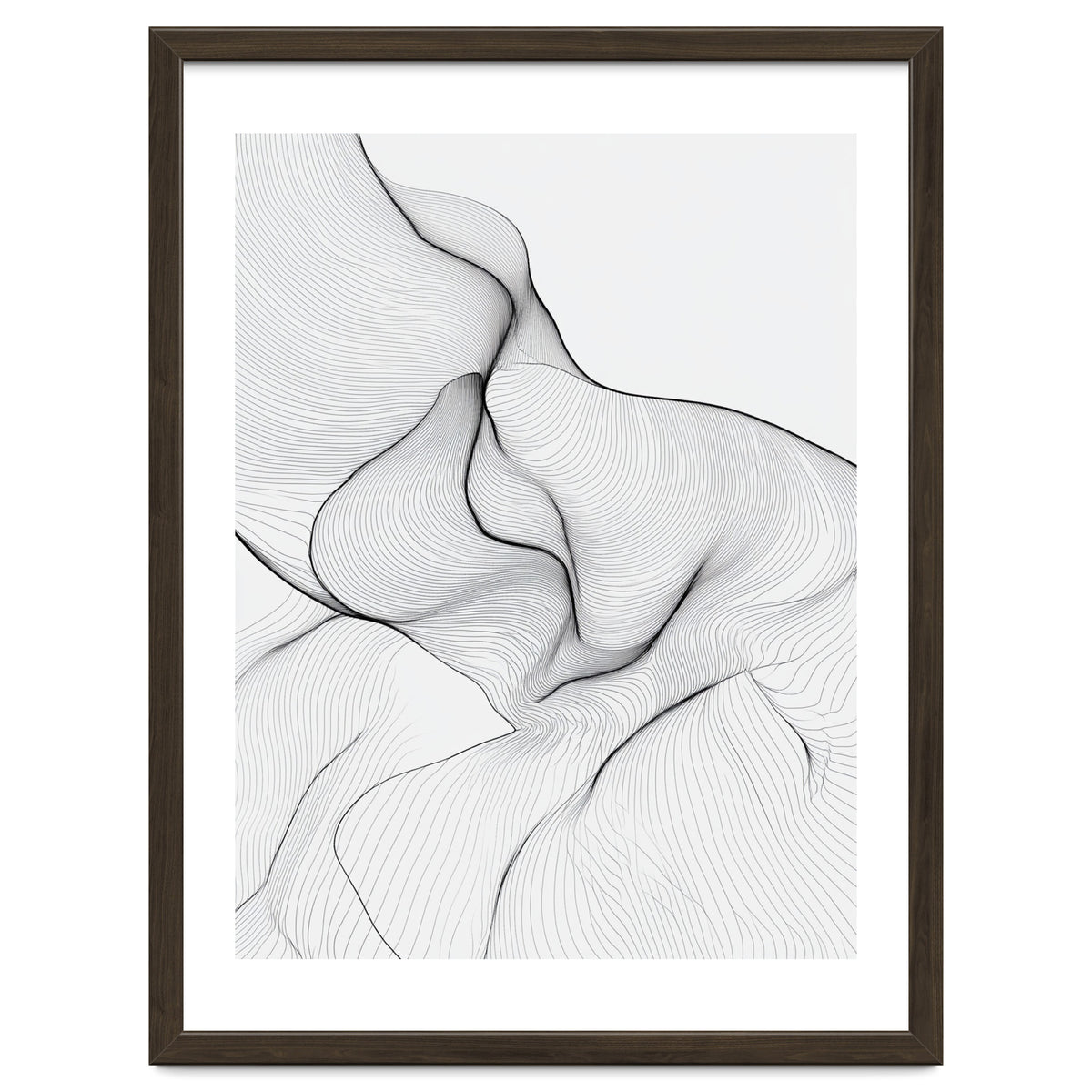 Abstract Black And White Flowing Lines Organic Form