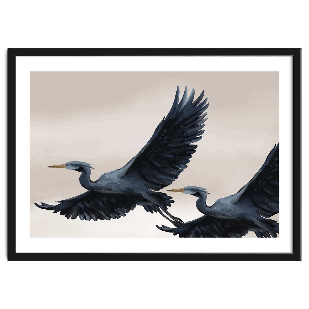 Migrating Herons