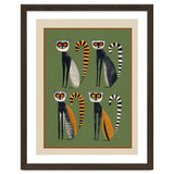 Striped Lemurs thumbnail