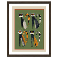 Striped Lemurs