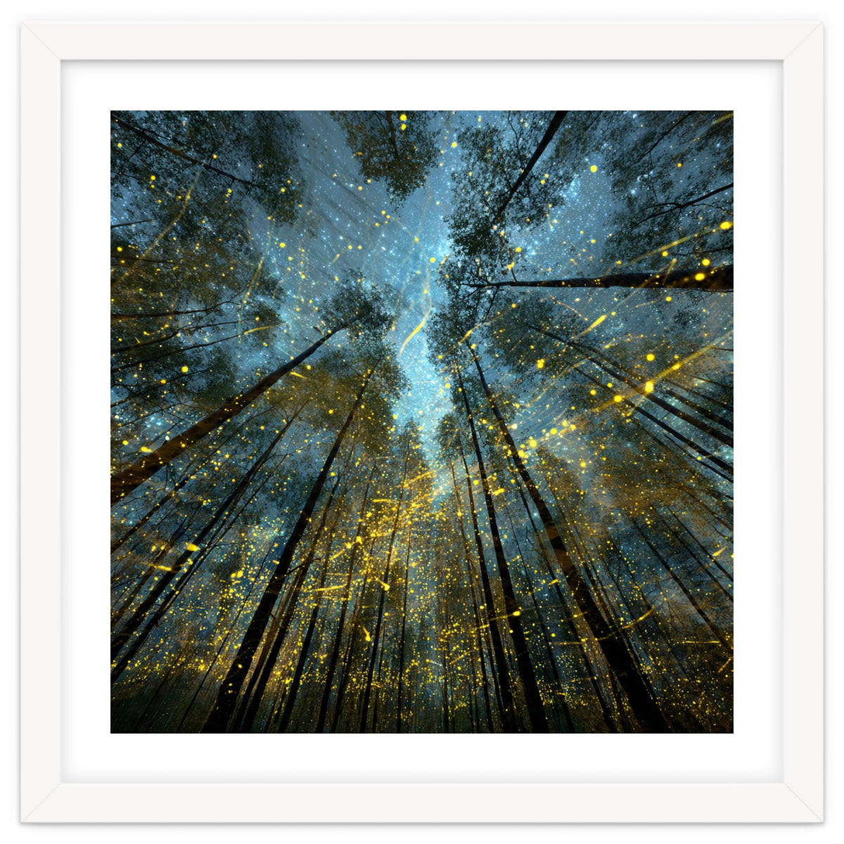 Enchanted Night Forest with Glowing Fireflies