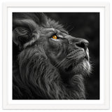 Majestic Lion Face Closeup Golden Eyes Black thumbnail