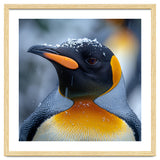 King Penguin In Falling Snow thumbnail