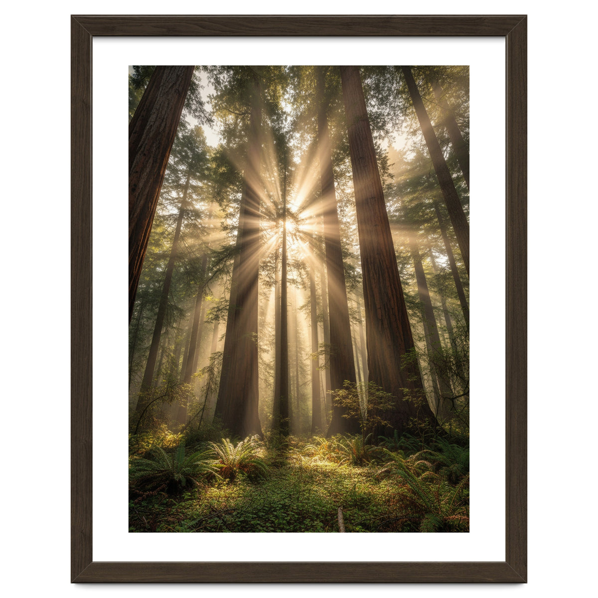 Ethereal Redwood Sanctuary: Sunbeams in the Ancient Forest