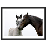 Two Horses
