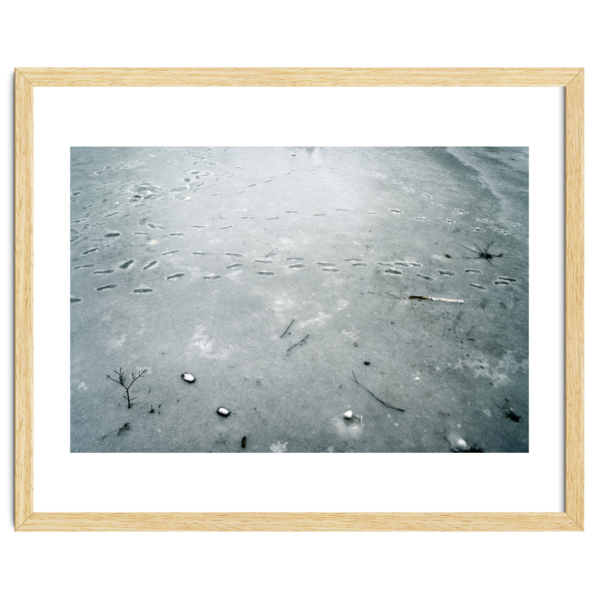 Frozen ice pond