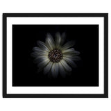 Backyard Flowers No 27 Color Version thumbnail