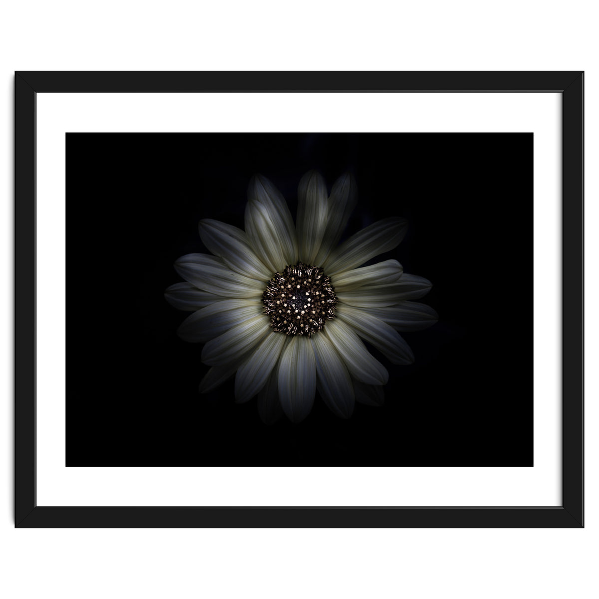 Backyard Flowers No 27 Color Version