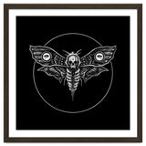 Deaths Head Moth thumbnail