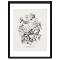 Currier & Ives – Rose of May (1870)