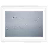 Flying seagulls in the winter sky thumbnail