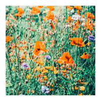 Eva | Nature Floral Meadow Garden | Photography Botanical Spring Bohemian Flowers (Print Only)