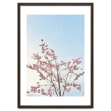 Sakura - cherry blossom thumbnail