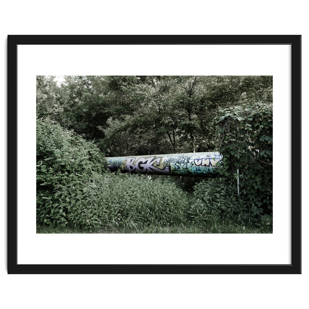 Graffiti pipe among the summer forest