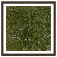 Forest Dense Foliage