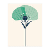 Teal Half Poppy (Print Only) thumbnail