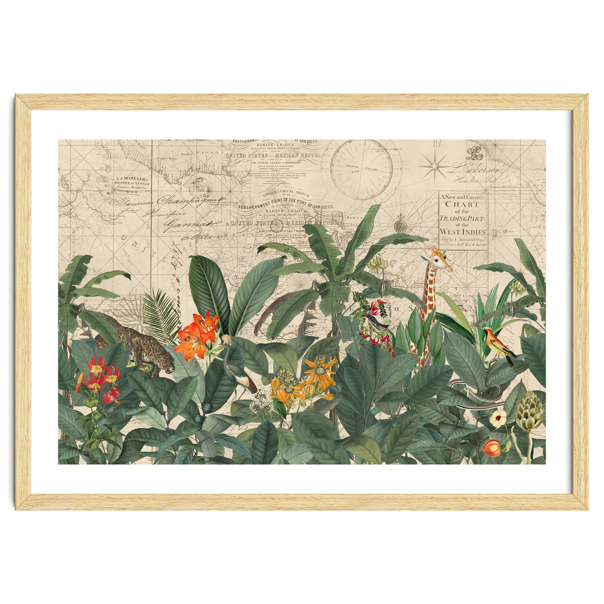 Explore The New World Wild Animals