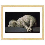 Agnus Dei - ca.1635-40 - oil on canvas - 37,3 x 62 cm - Spanish Baroque - NP 7293. thumbnail