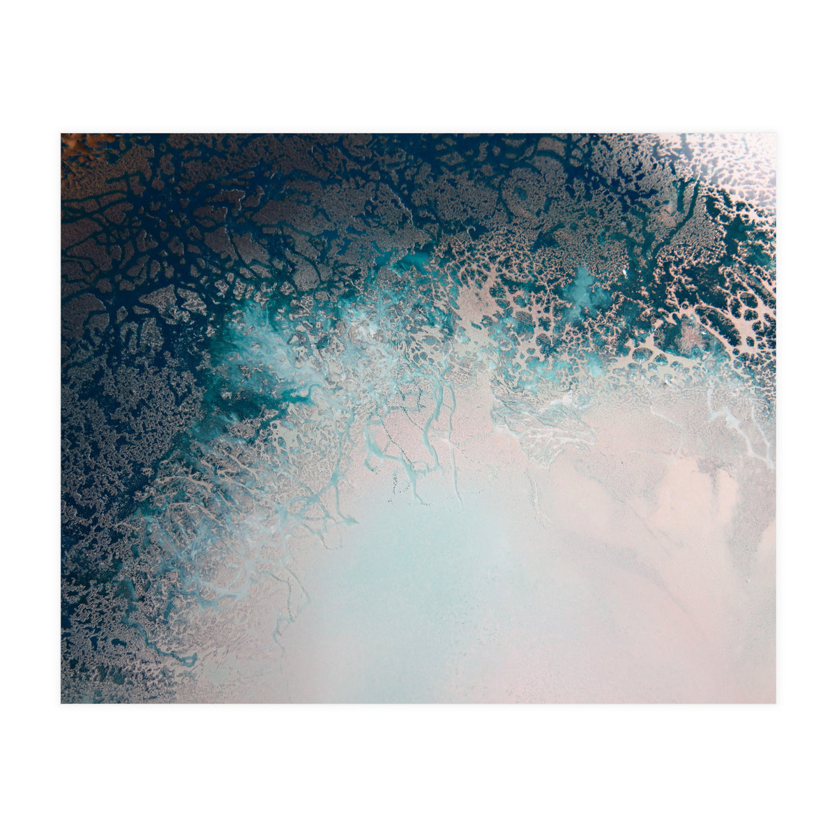 Flourish (Print Only)