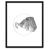 The Fascinating Cuttlefish thumbnail