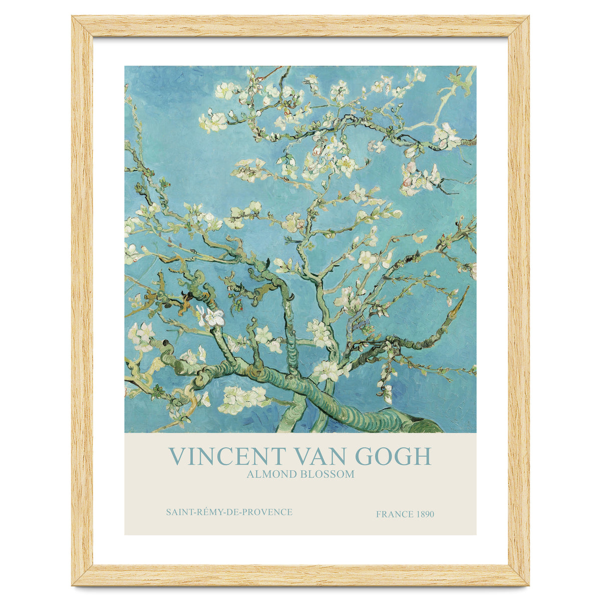 Vincent Van Gogh - Almond Blossom