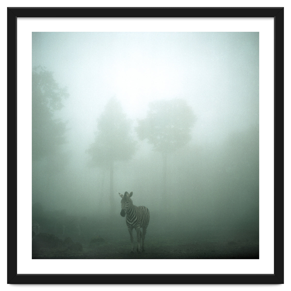 Silence of breath - 01