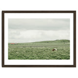 Horses in the middle of the green field - Iceland thumbnail