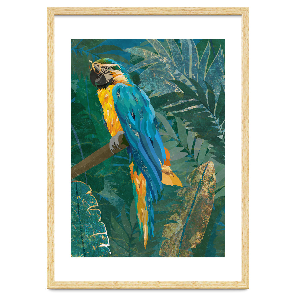 Macaw in the jungle
