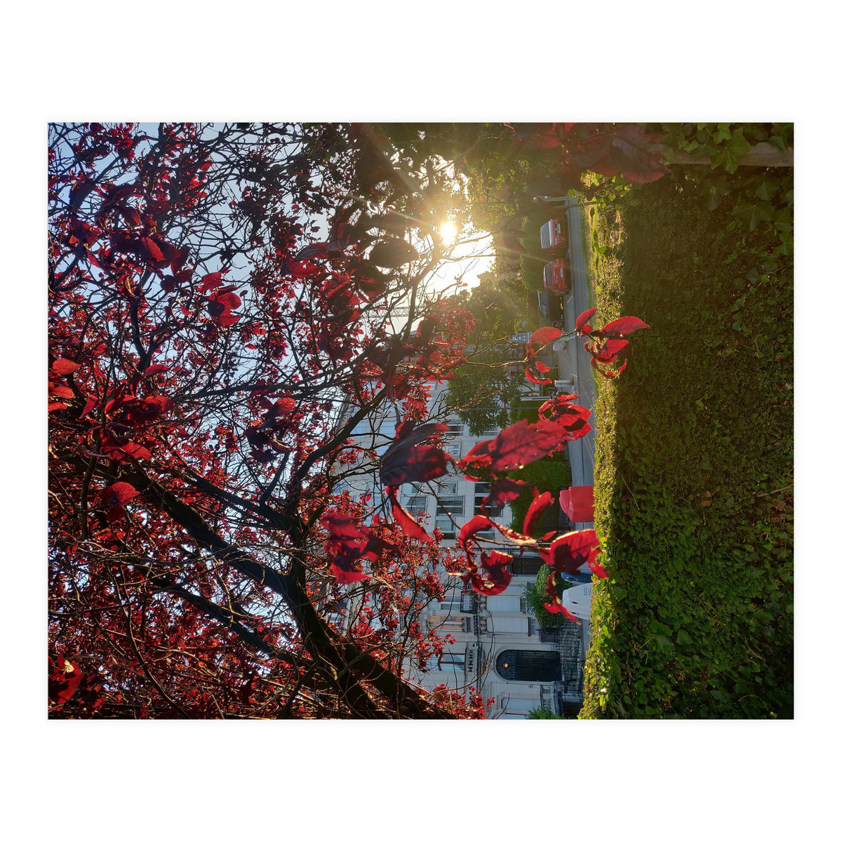 Autumn’s Embrace (Print Only)