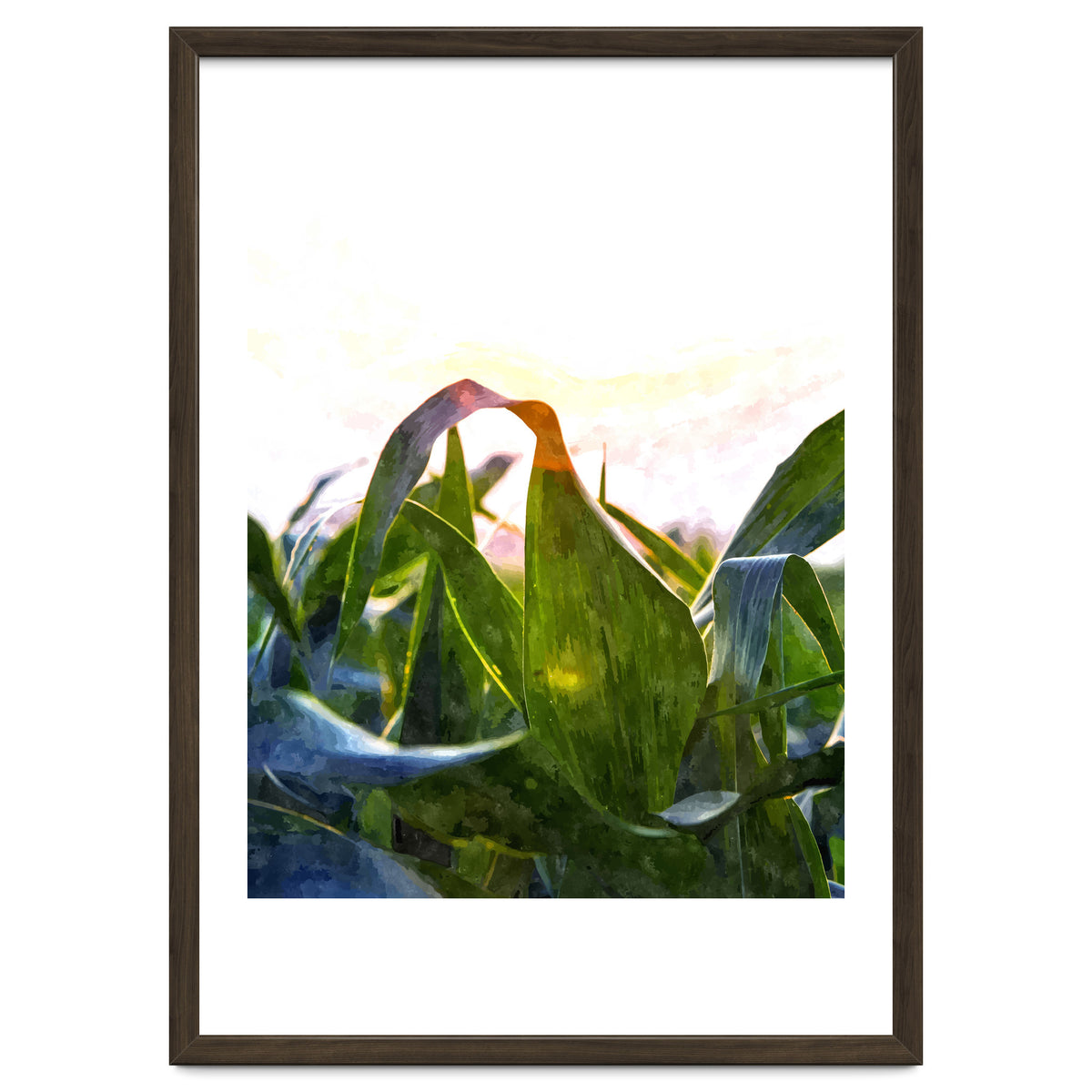 Hope With Abstraction