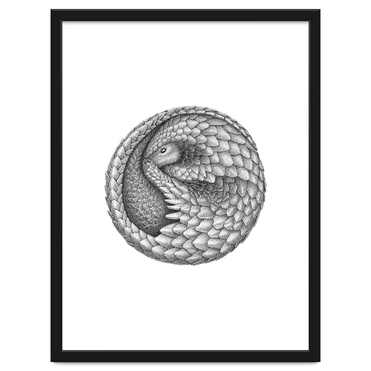 Pangolin no. 2