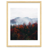 Fog thumbnail