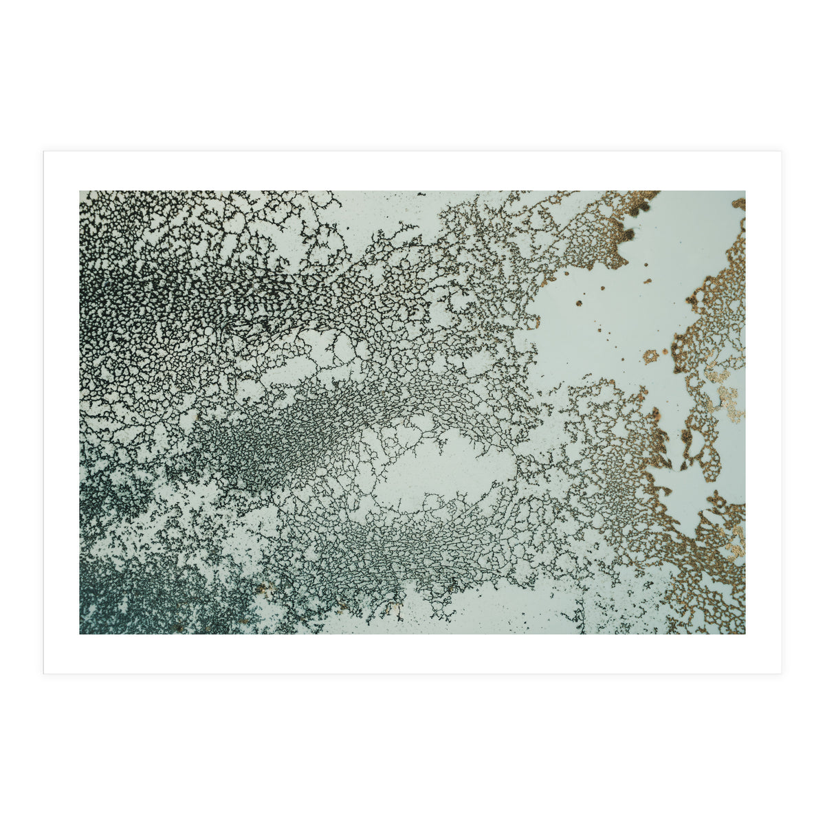 Synchronize (Print Only)