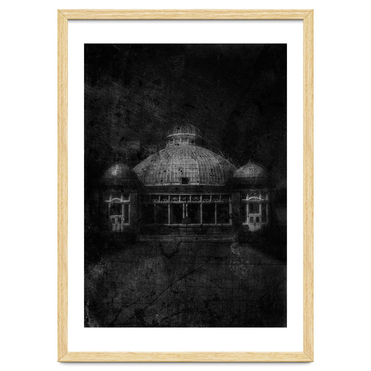 Allan Gardens Conservatory Palm House No 3 Old Film Version