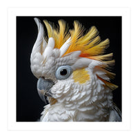 Close Up Cockatoo Portrait Yellow Crested Bird (Print Only)