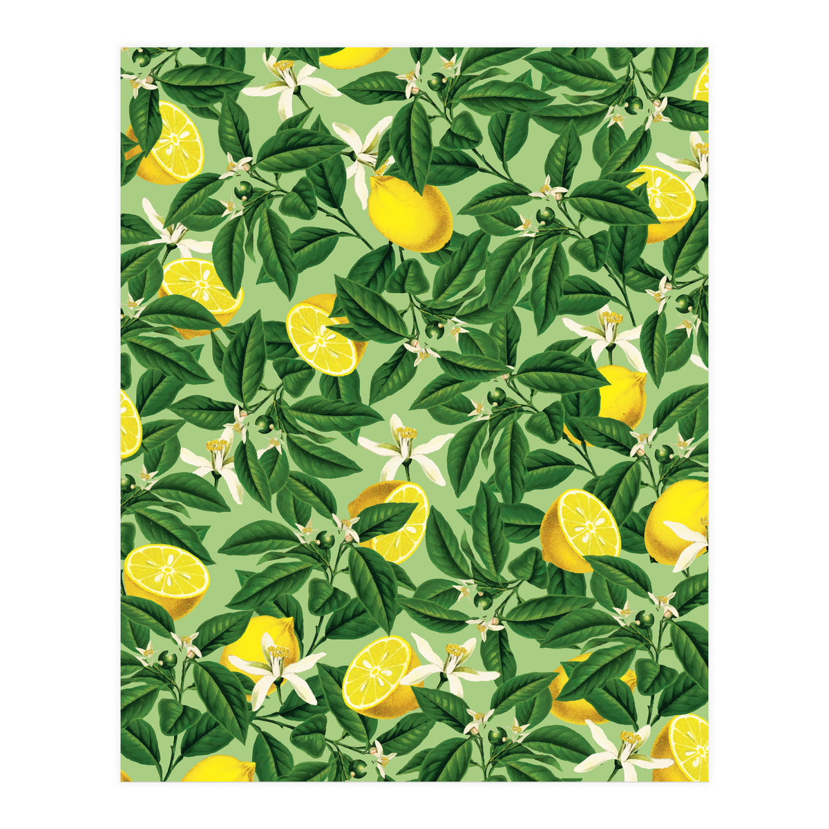 Lemonade Garden, Green Fresh Lemon Botanical Illustration, Vibrant Summer Tropical Fruit Nature (Print Only)