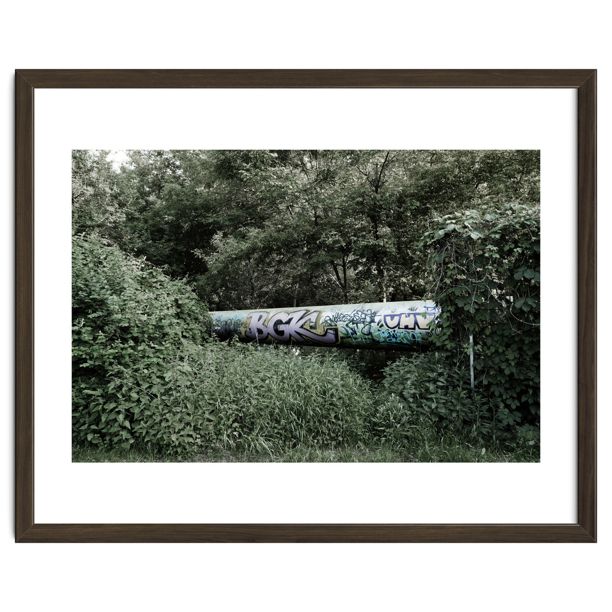 Graffiti pipe among the summer forest