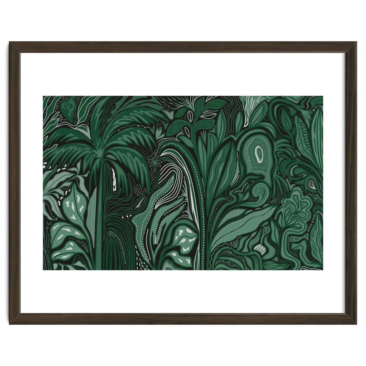 Noctiverdis magnifolia arcana tropical green