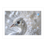 Close-up of a White Peacock (Print Only) thumbnail